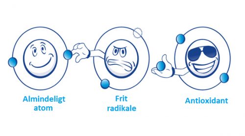 frie-radikaler